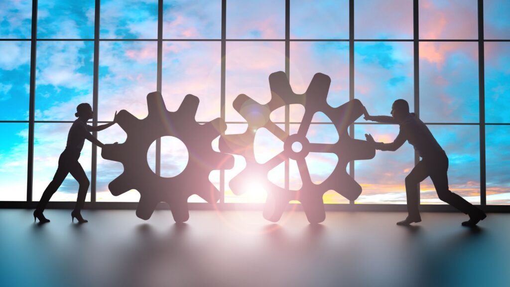 koła zembate w firmie